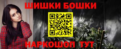 молекула духа Будённовск